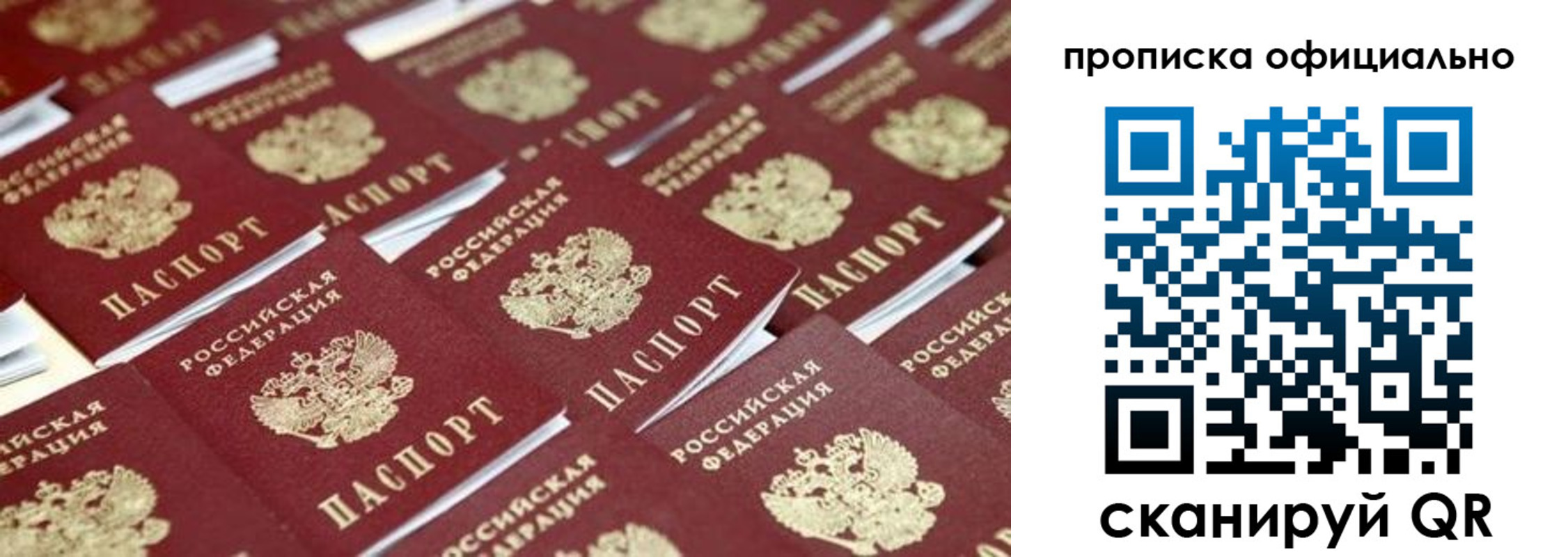 прописка гарантия в Долгопрудном